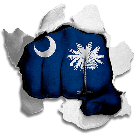 Fist South Carolina State Flag Logo vinyl decal